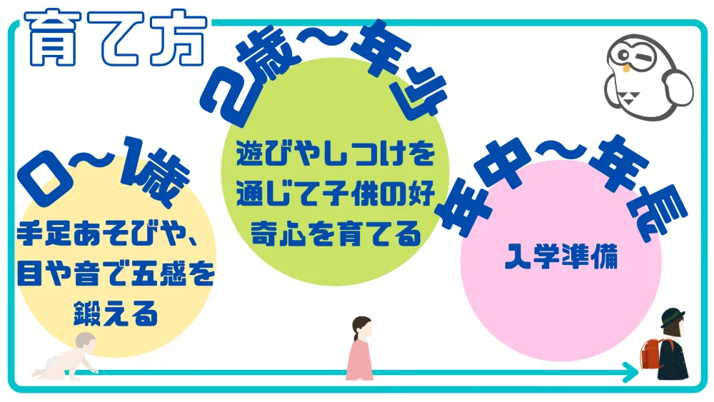 年齢別の勉強