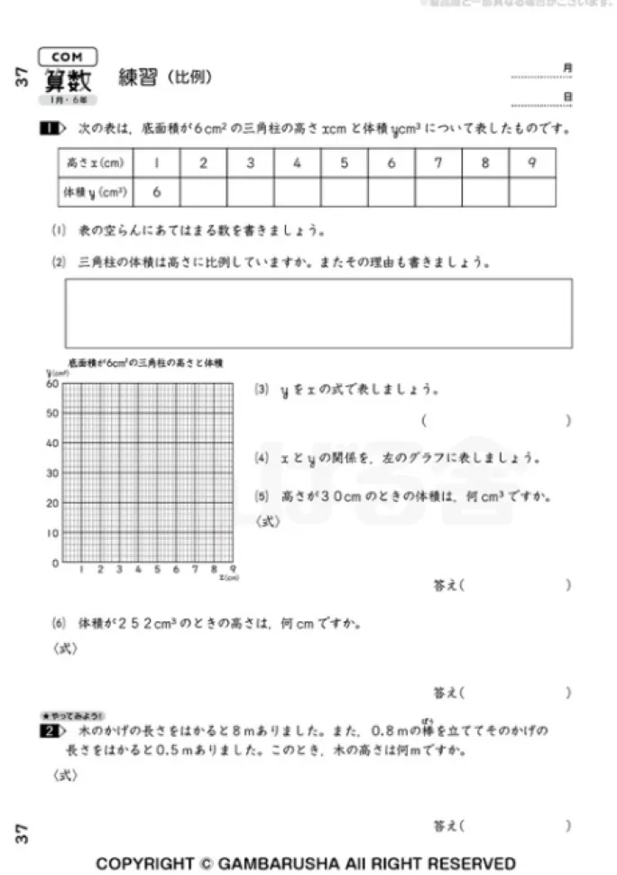 小学6年生　算数