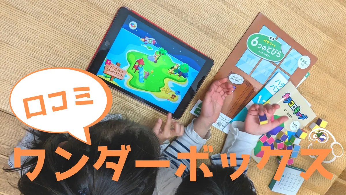 ワンダーボックス　口コミ