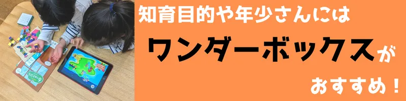 知育目的の子供には、ワンダーボックスがおすすめ