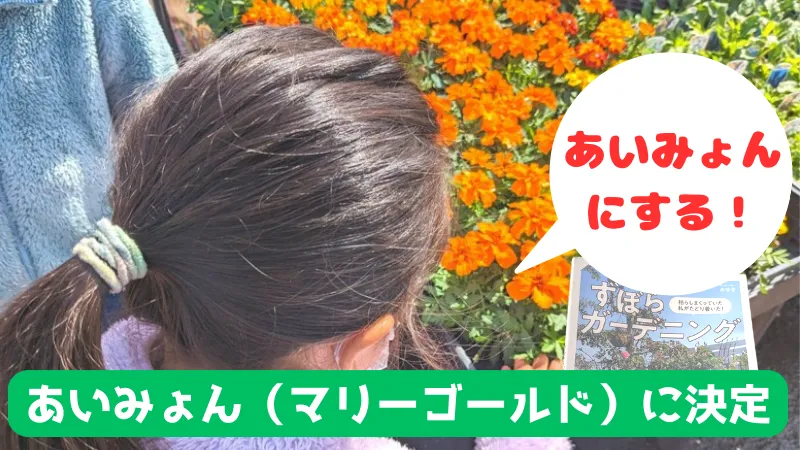 娘たちは、あいみょん（マリーゴールド）を選びました。